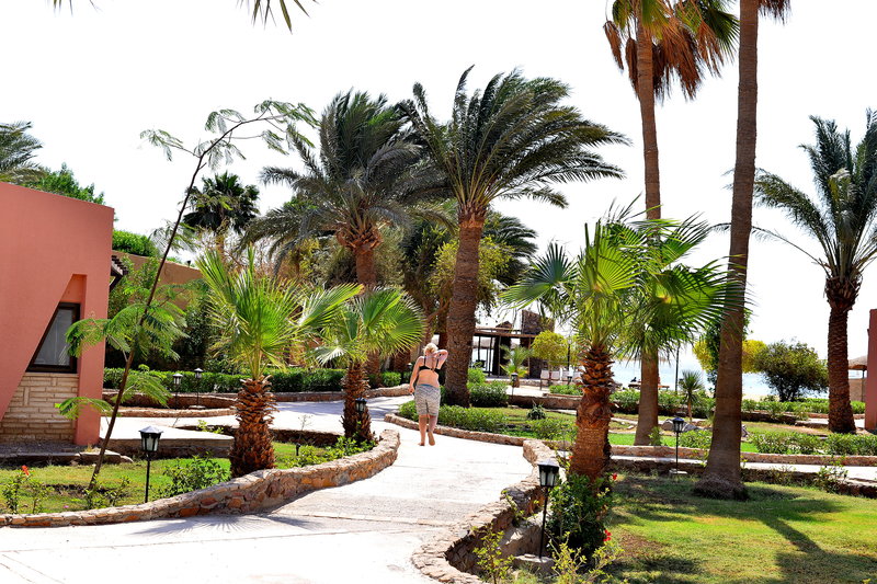 Hotel Eagles Paradise Abu Soma Resort i Hurghada, Egypt - Billede 16