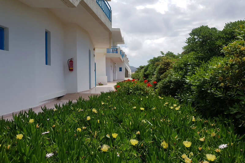 Hotel Kasapakis Apartment  i Crete, Greece - Billede 13