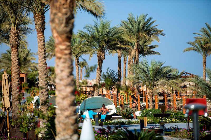 Hotel SUNRISE Montemare Resort i Sharm El Sheik, Egypt - Billede 48