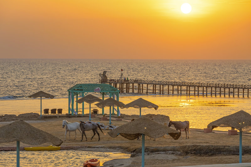 Hotel Radisson Blu Resort El Quseir i Hurghada, Egypt - Billede 10