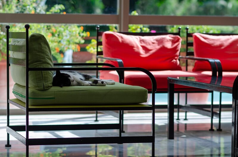 Hotel Dionysos Hotel i Rhodes, Greece - Billede 12