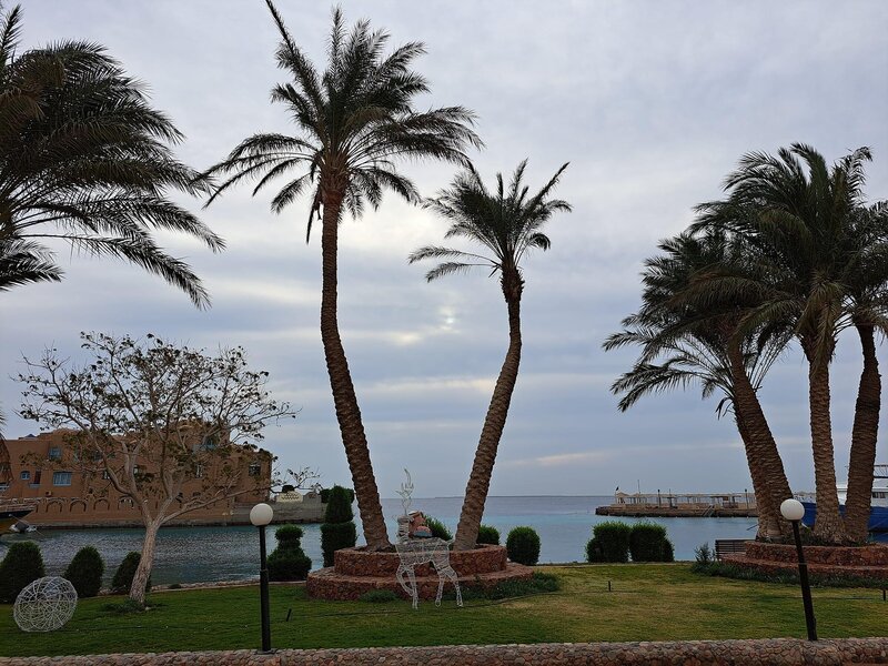 Hotel Arabella Azur Resort i Hurghada, Egypt - Billede 34