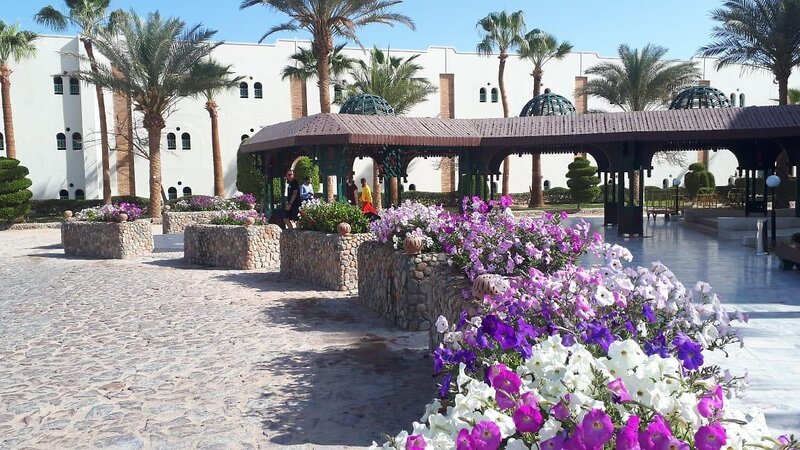 Hotel Arabella Azur Resort i Hurghada, Egypt - Billede 46