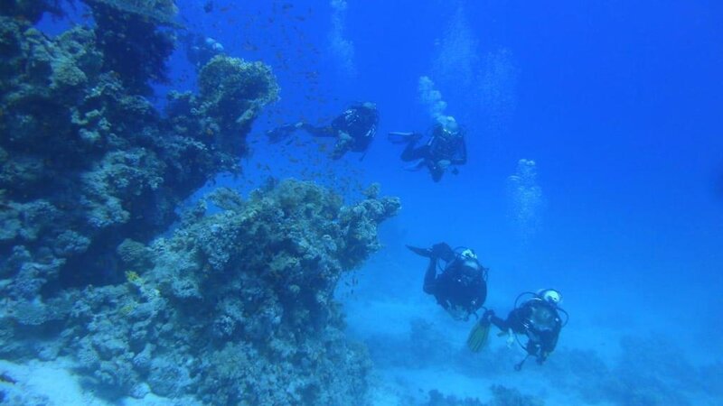 Hotel Xperience Sea Breeze Resort i Sharm El Sheik, Egypt - Billede 36