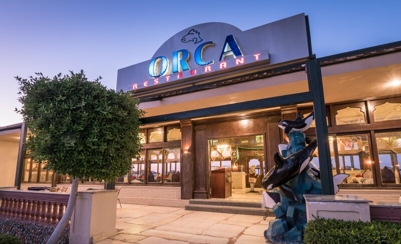 Hotel Sunny Days Palma De Mirette Resort & SPA i Hurghada, Egypt - Billede 30