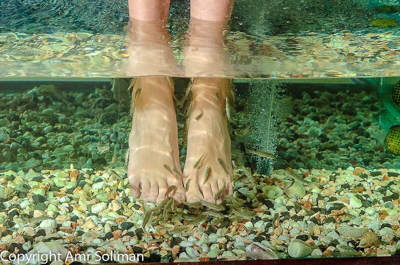 Hotel Titanic Resort & Aqua Park i Hurghada, Egypt - Billede 112