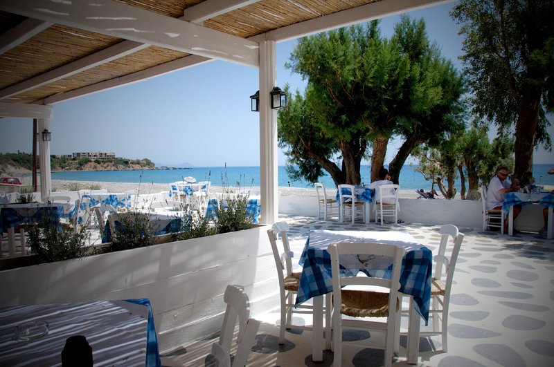 Hotel Avra Palm Hotel i Crete, Greece - Billede 7