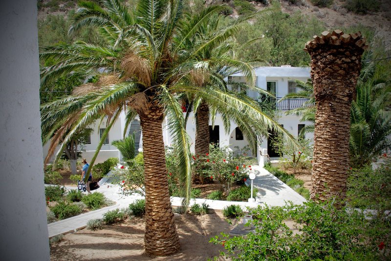 Hotel Avra Palm Hotel i Crete, Greece - Billede 10