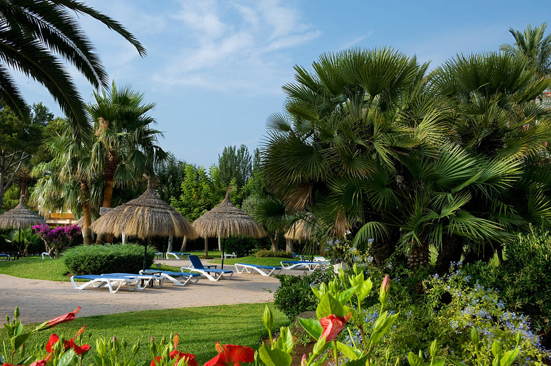 Hotel Apartamentos Siesta I i Mallorca, Spain - Billede 4