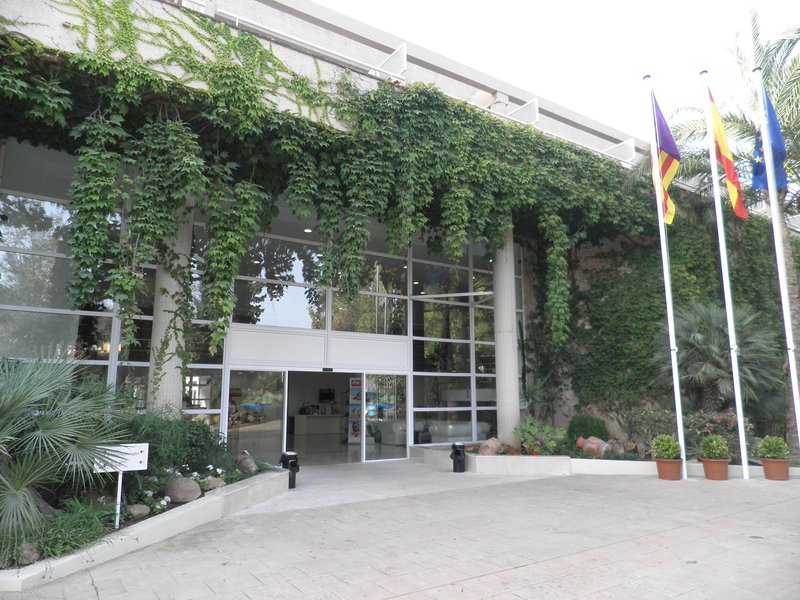 Hotel Fergus Club Palmanova Park i Mallorca, Spain - Billede 2