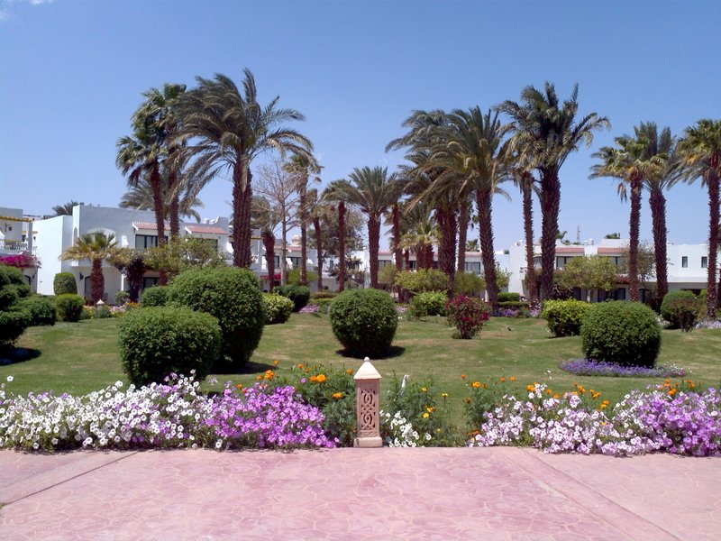 Hotel Lotus Bay Hotel i Hurghada, Egypt - Billede 13