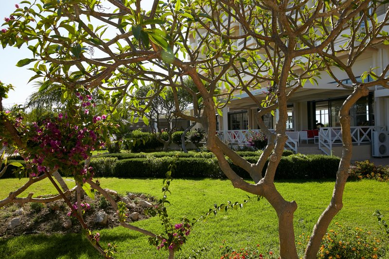 Hotel Electra Palace Hotel i Rhodes, Greece - Billede 33