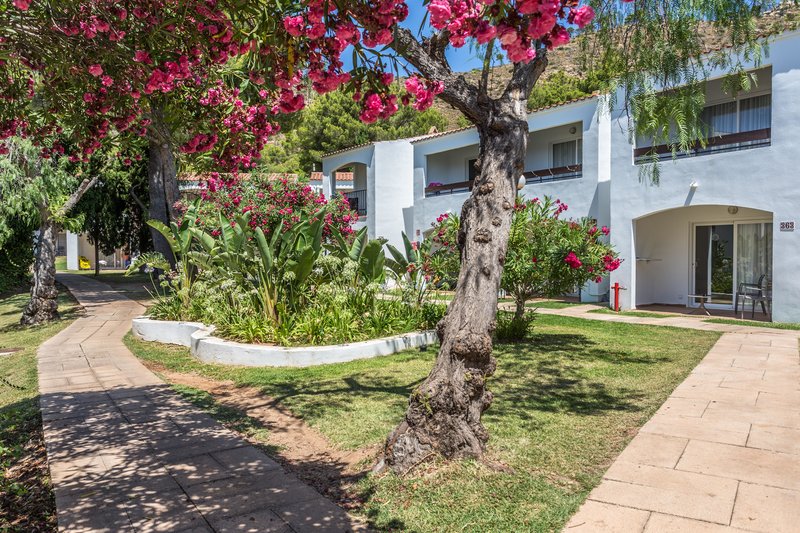 Hotel FERGUS Club Europa i Mallorca, Spain - Billede 65