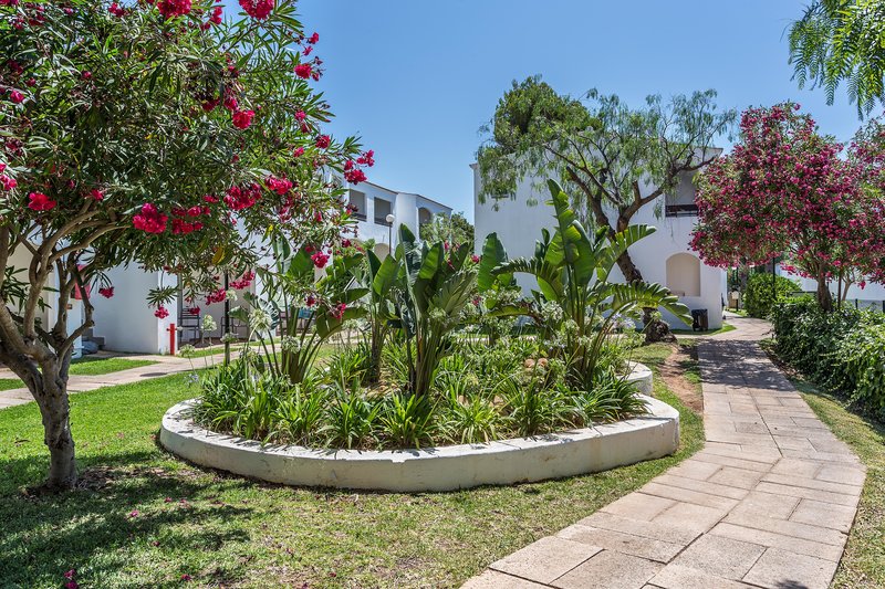 Hotel FERGUS Club Europa i Mallorca, Spain - Billede 66