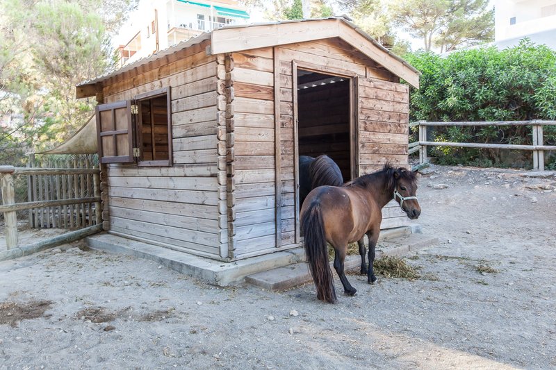 Hotel Fergus Style Cala Blanca Suites i Mallorca, Spain - Billede 107