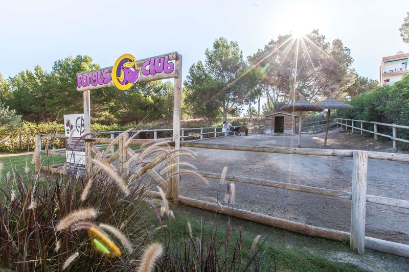 Hotel Fergus Style Cala Blanca Suites i Mallorca, Spain - Billede 108