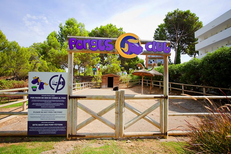 Hotel Fergus Style Cala Blanca Suites i Mallorca, Spain - Billede 110