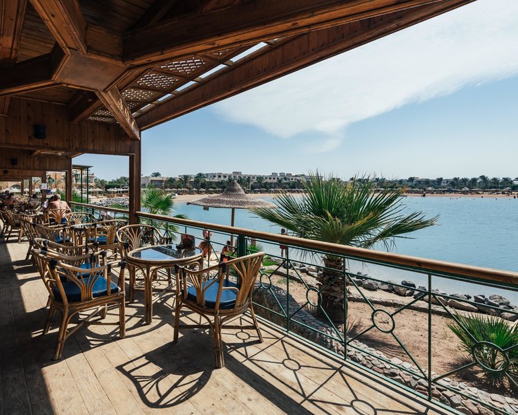 Hotel Desert Rose Resort i Hurghada, Egypt - Billede 23