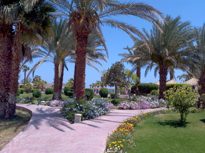 Hotel Lotus Bay Hotel i Hurghada, Egypt - Billede 16