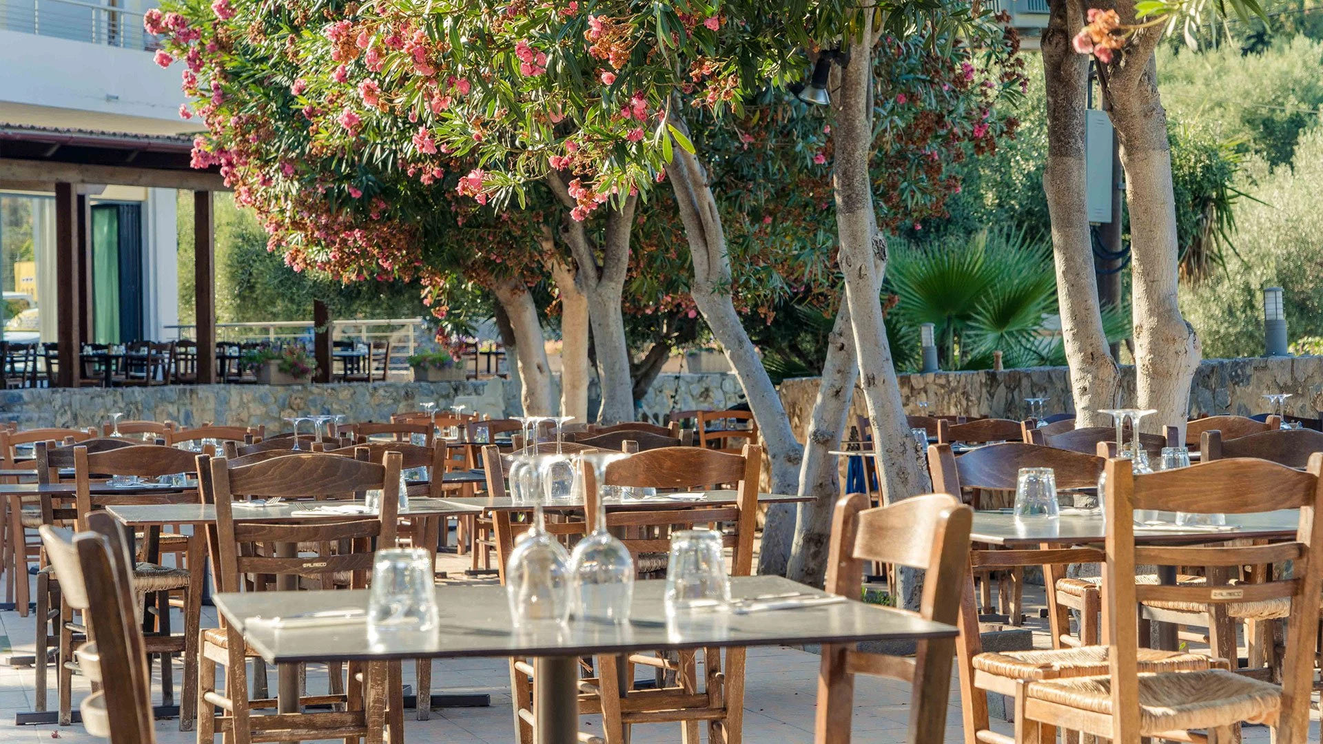 Hotel Almyrida Village & Water Park i Crete, Greece - Billede 31