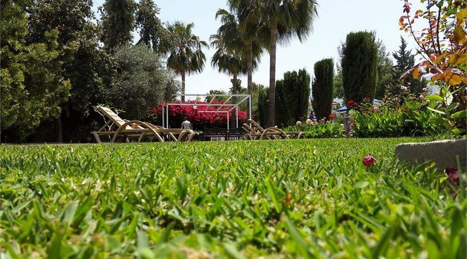 Hotel Altinkaya Hotel i North Cyprus, Cyprus - Billede 2