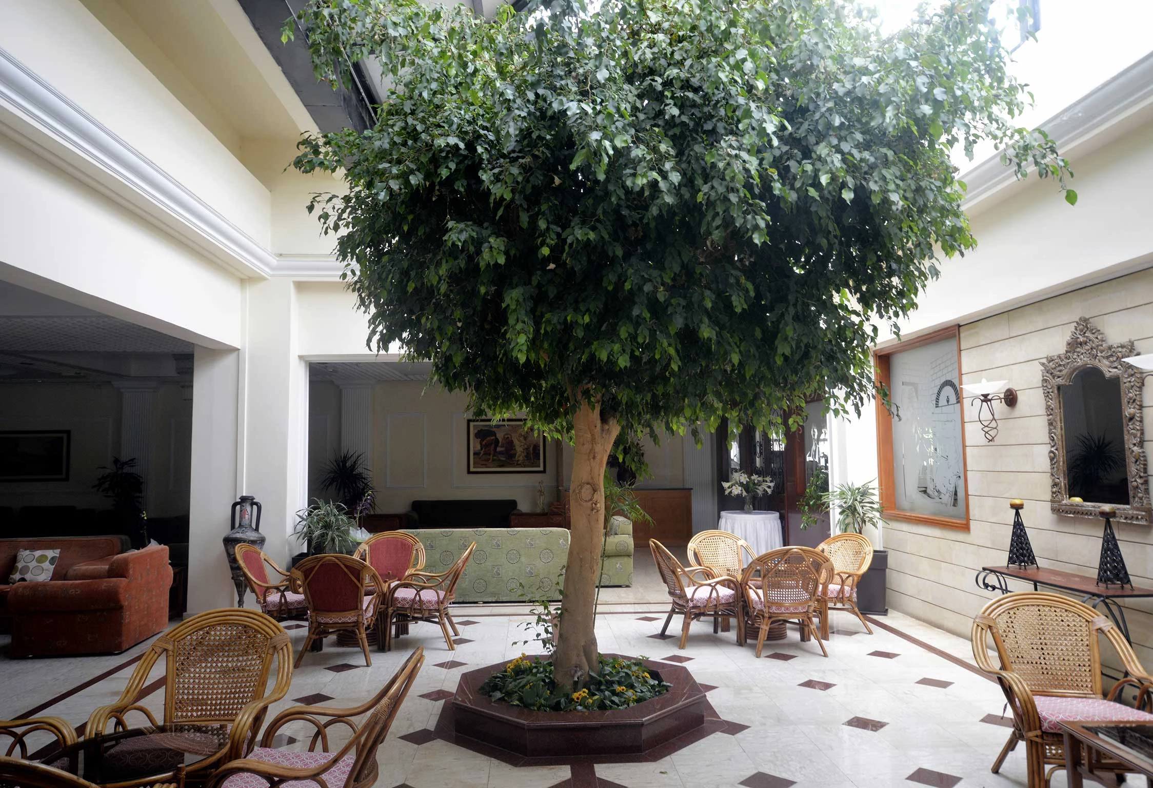 Hotel Avlida Hotel i Cyprus, Cyprus - Billede 17