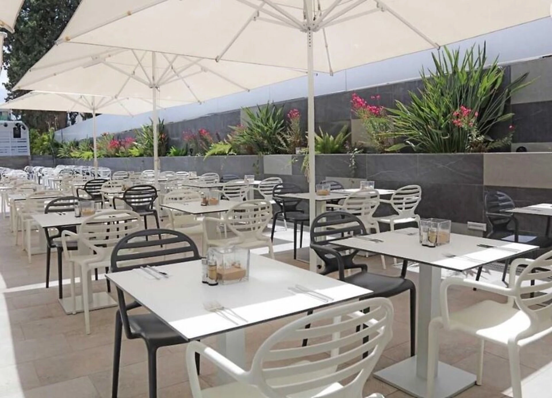 Hotel BLUESEA Marieta i Gran Canaria, Spanien - Billede 24