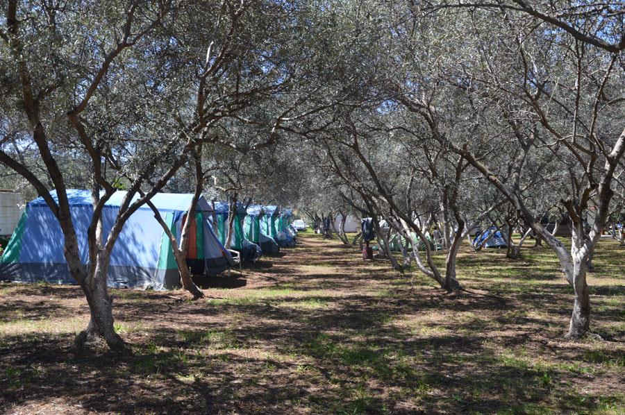 Hotel Camping Hania i Crete, Greece - Billede 27