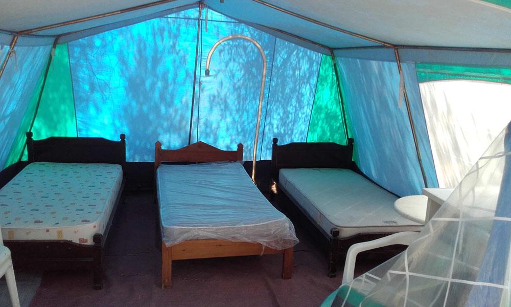 Hotel Camping Hania i Crete, Greece - Billede 28