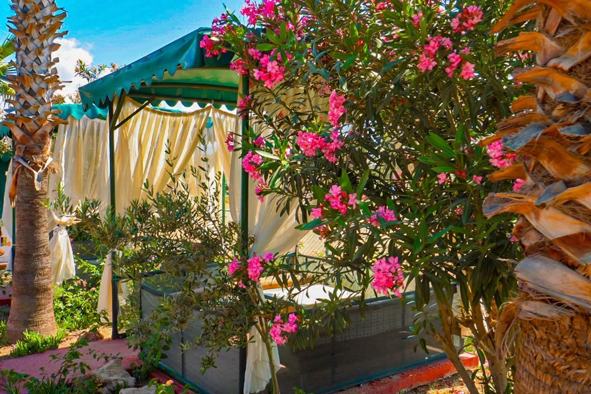 Hotel Club Wasa Holiday Village i Antalya, Turkiet - Billede 8