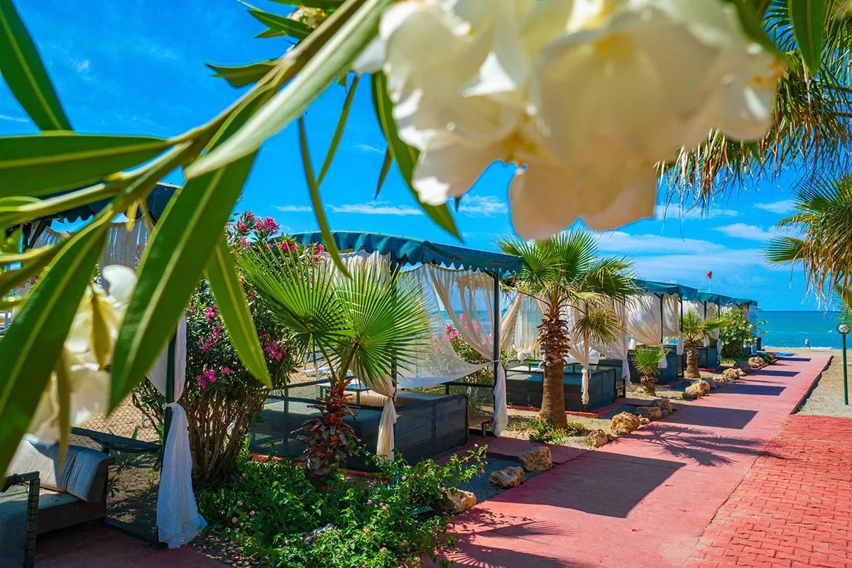 Hotel Club Wasa Holiday Village i Antalya, Turkiet - Billede 9