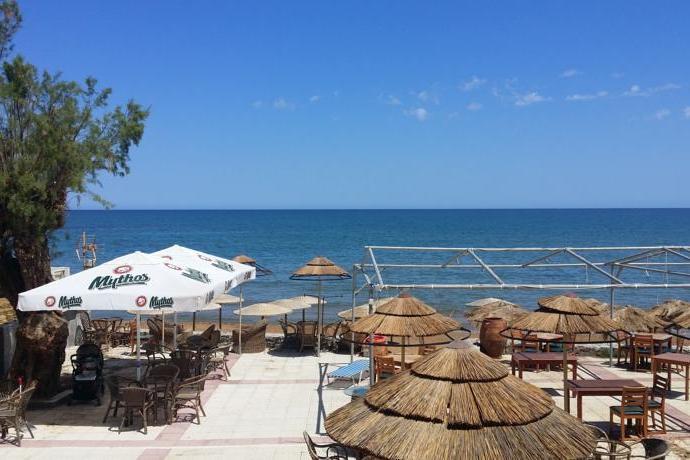 Hotel MINERVA BEACH HOTEL i Crete, Greece - Billede 4