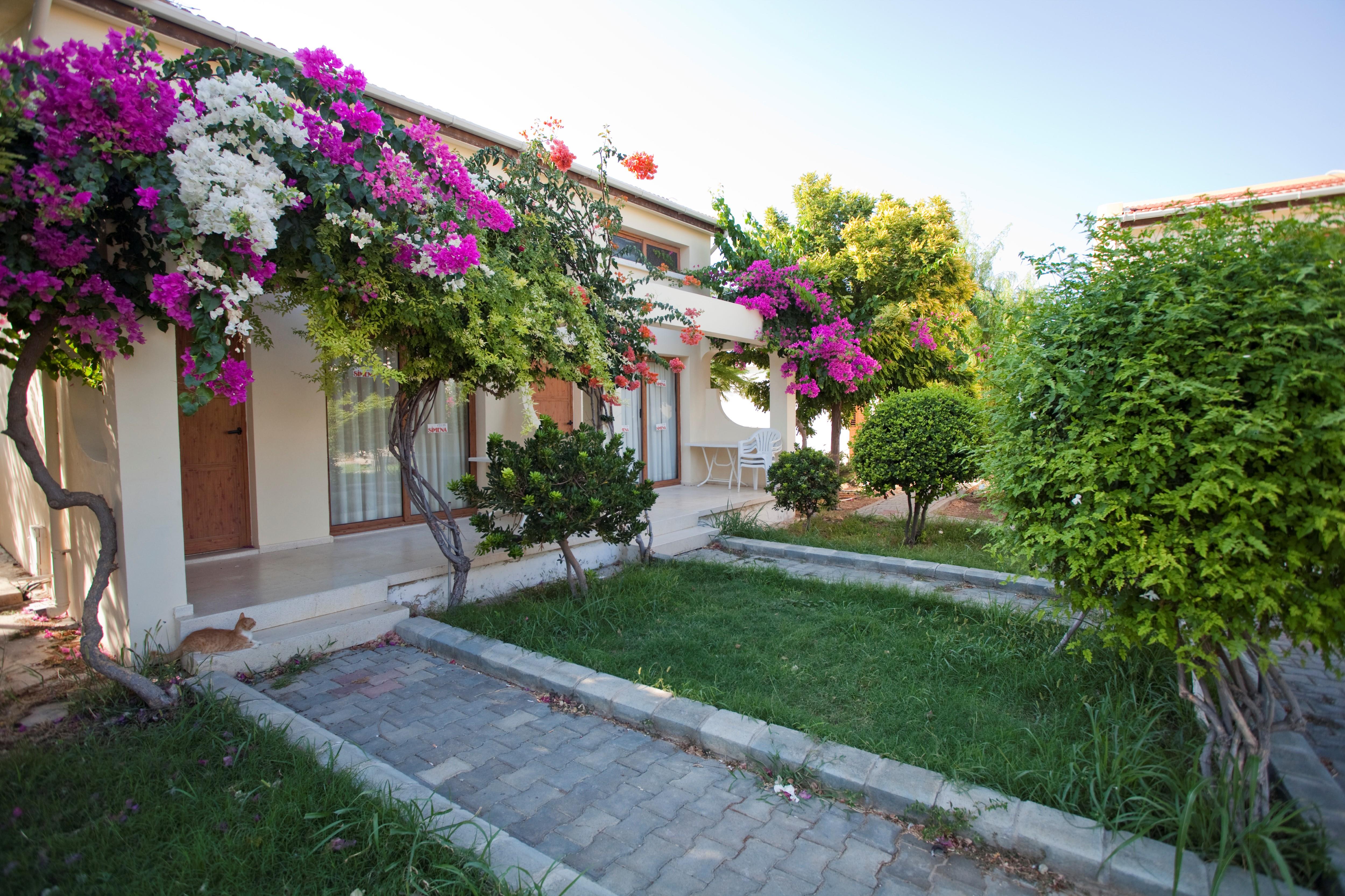 Hotel Club Simena Hotel i North Cyprus, Cyprus - Billede 14