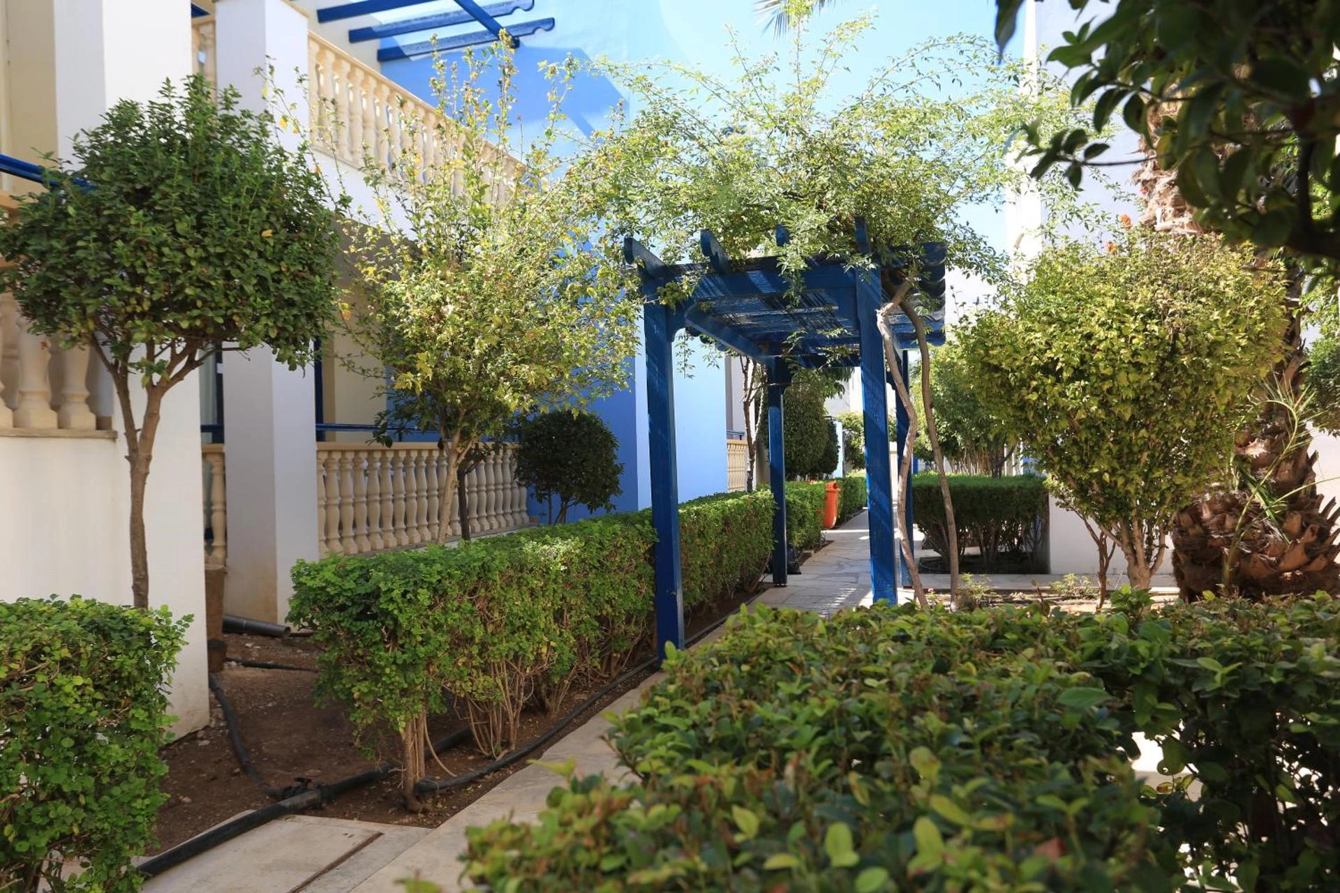 Hotel Eleni i Cyprus, Cyprus - Billede 10