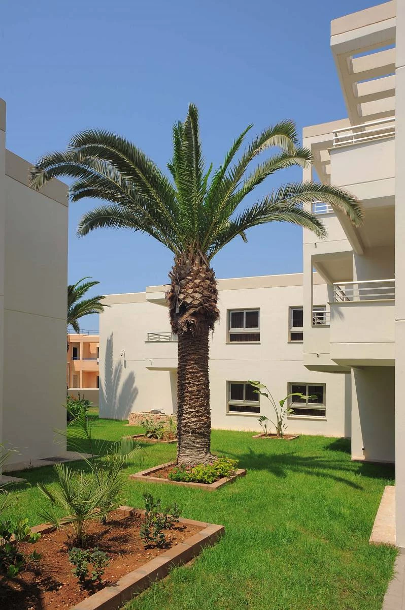 Hotel Euronapa Hotel Apartments i Cyprus, Cyprus - Billede 11