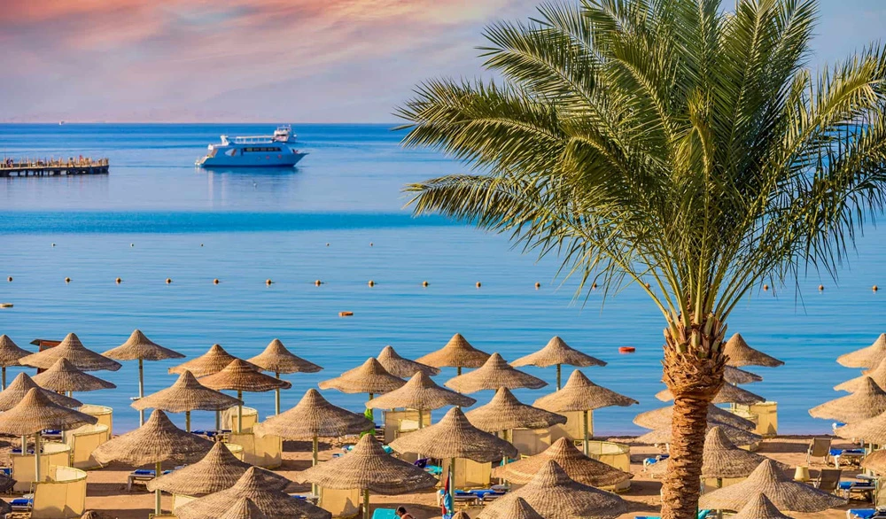 Hotel Falcon Naama Star Hotel i Sharm El Sheik, Egypt - Billede 5