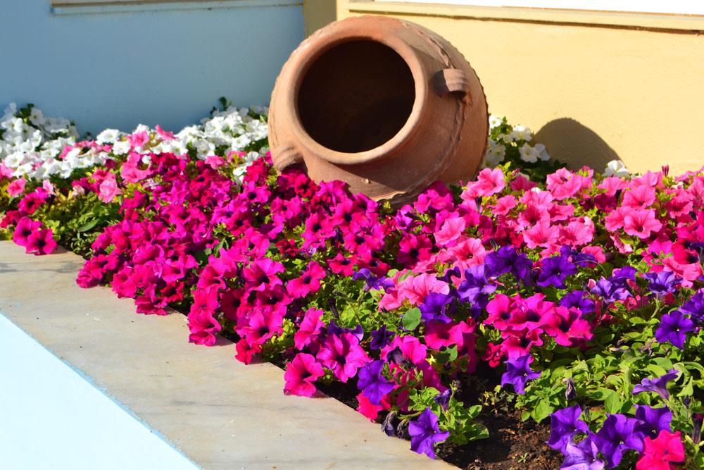 Hotel Futura Hotel i Crete, Greece - Billede 20