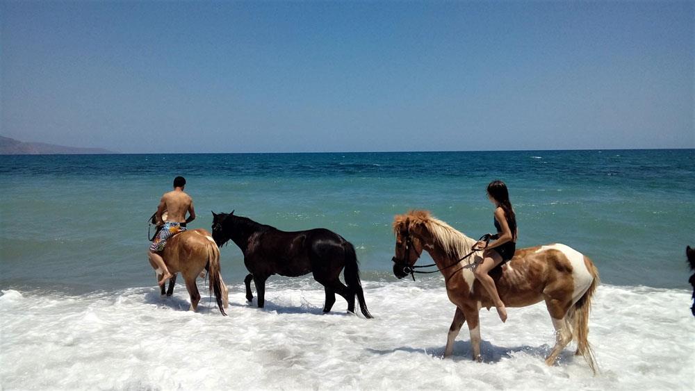 Hotel Futura Hotel i Crete, Greece - Billede 12