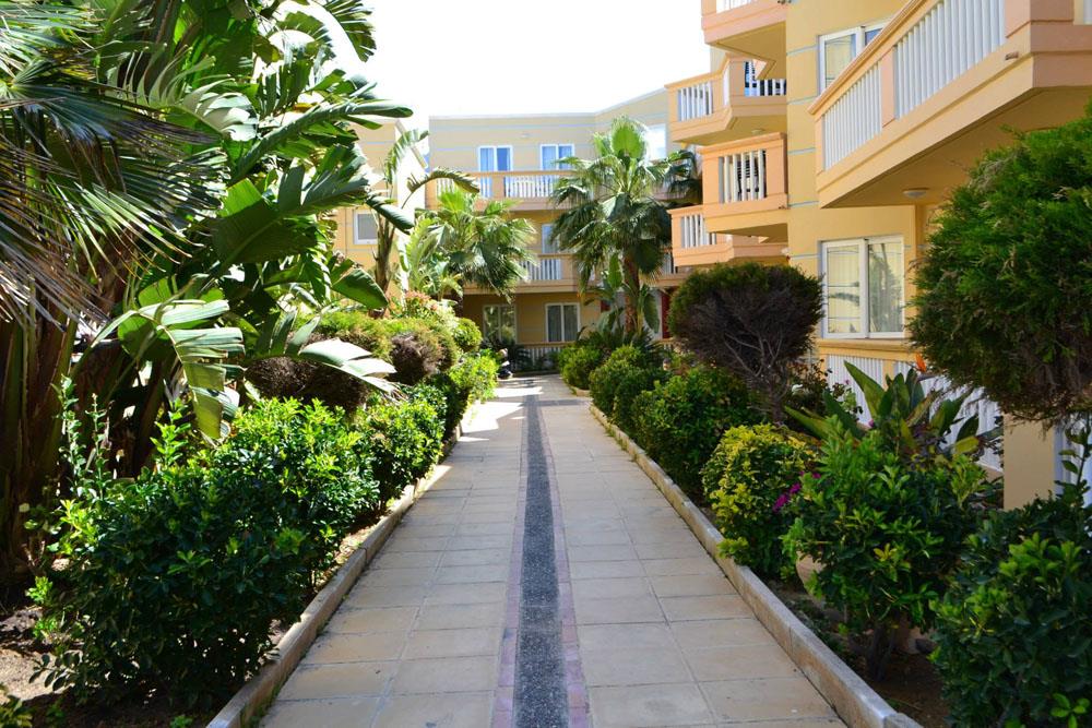 Hotel Futura Hotel i Crete, Greece - Billede 18