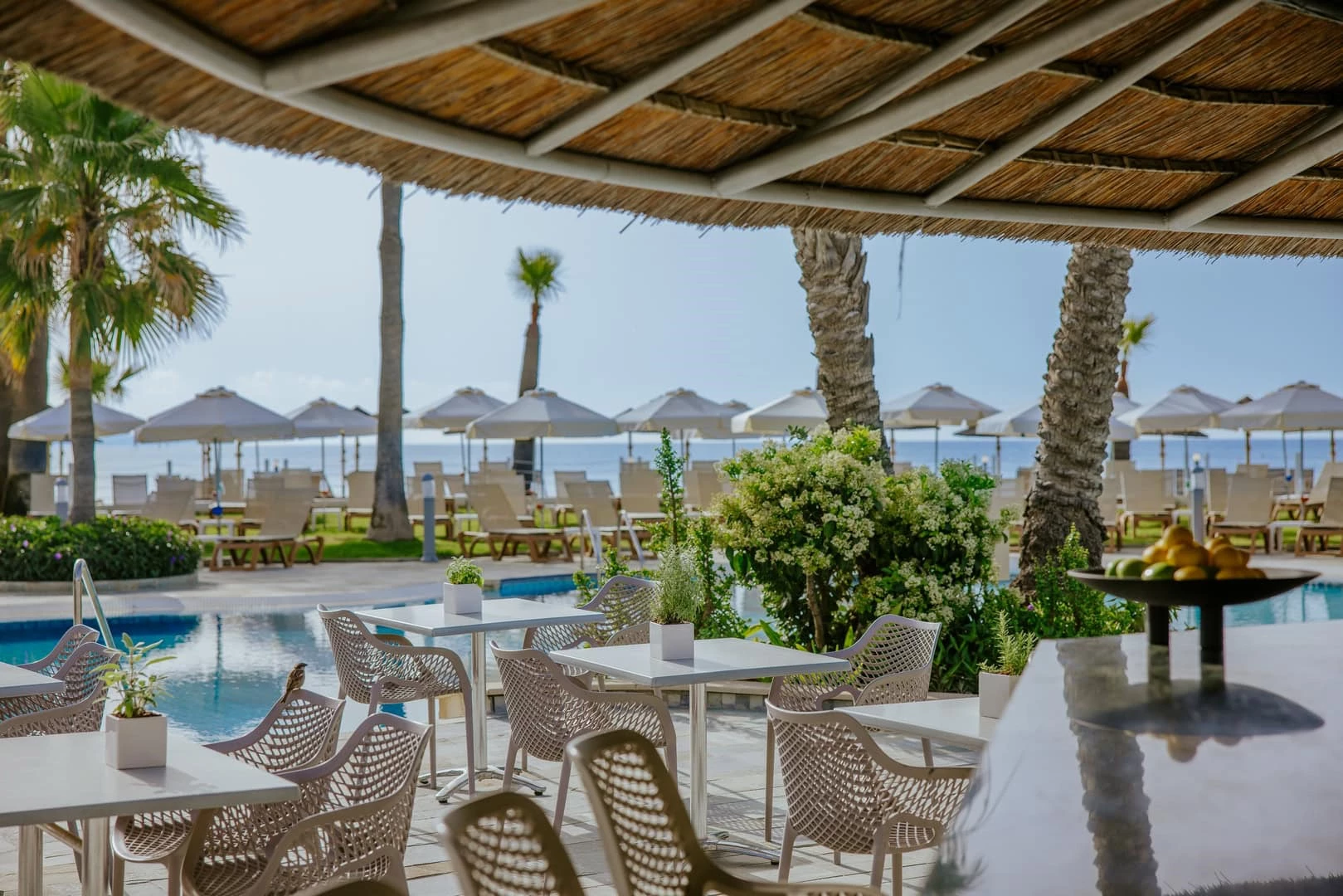 Hotel Golden Bay Beach Hotel i Cyprus, Cyprus - Billede 13