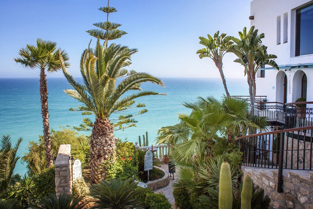 Hotel Hotel Servigroup Montiboli i Alicante, Spain - Billede 29