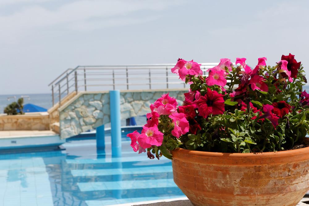 Hotel Indigo Mare Hotel i Crete, Greece - Billede 14