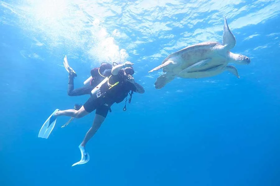 Hotel Jasmine Palace Resort i Hurghada, Egypt - Billede 14