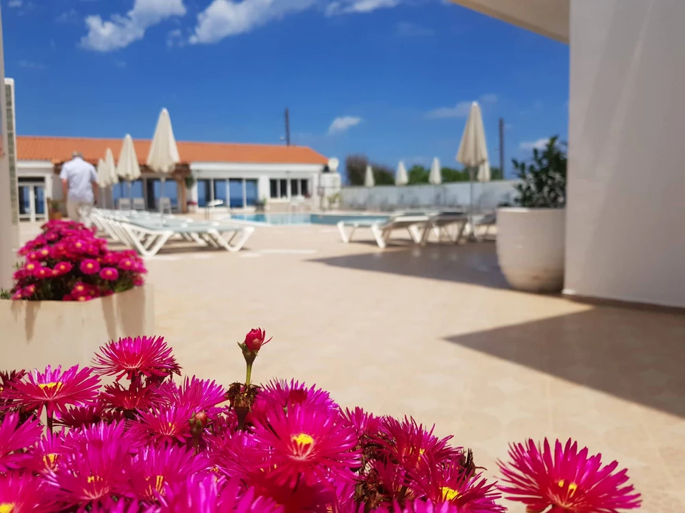 Hotel Kasapakis Apartment  i Crete, Greece - Billede 16