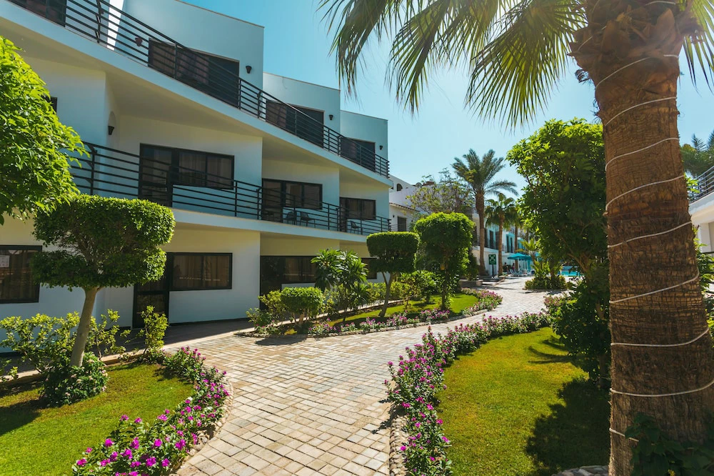 Hotel La Rosa Waves Beach - Couple & Families Only i Hurghada, Egypt - Billede 21