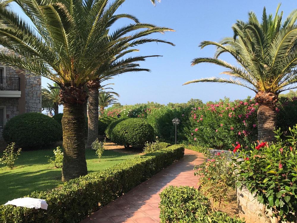 Hotel Lito Beach i Crete, Greece - Billede 12