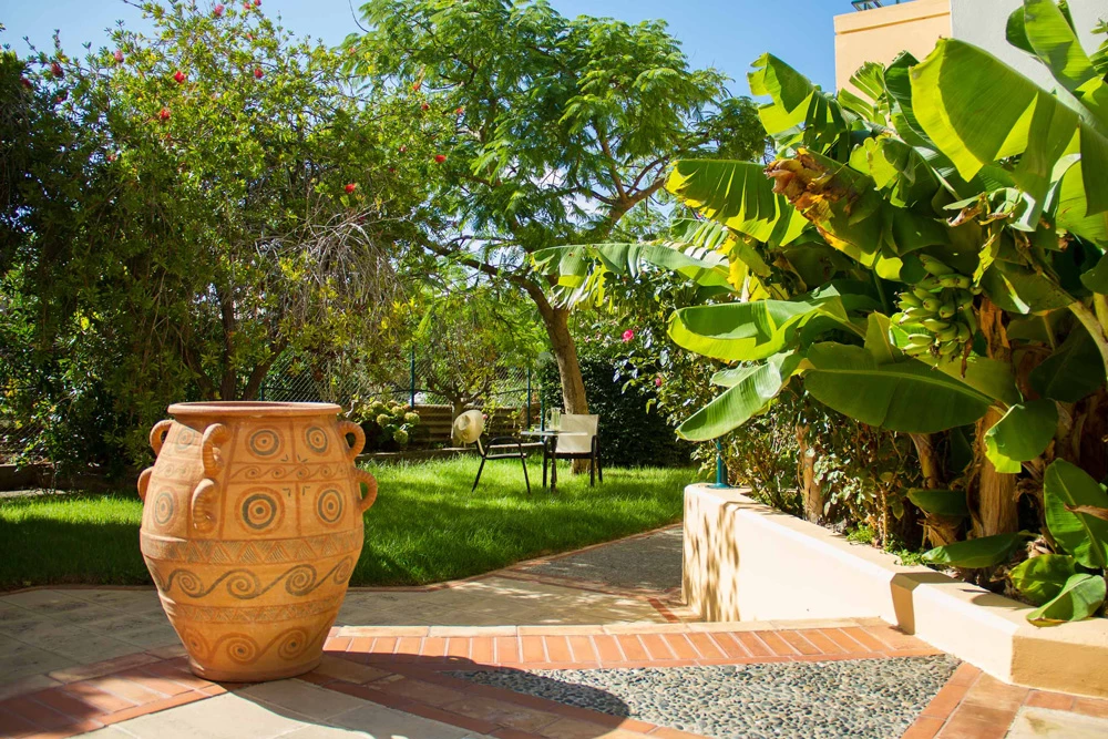 Hotel Lycasti Hotel i Crete, Greece - Billede 14