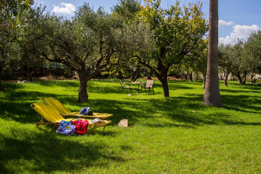 Hotel Lycasti Hotel i Crete, Greece - Billede 7