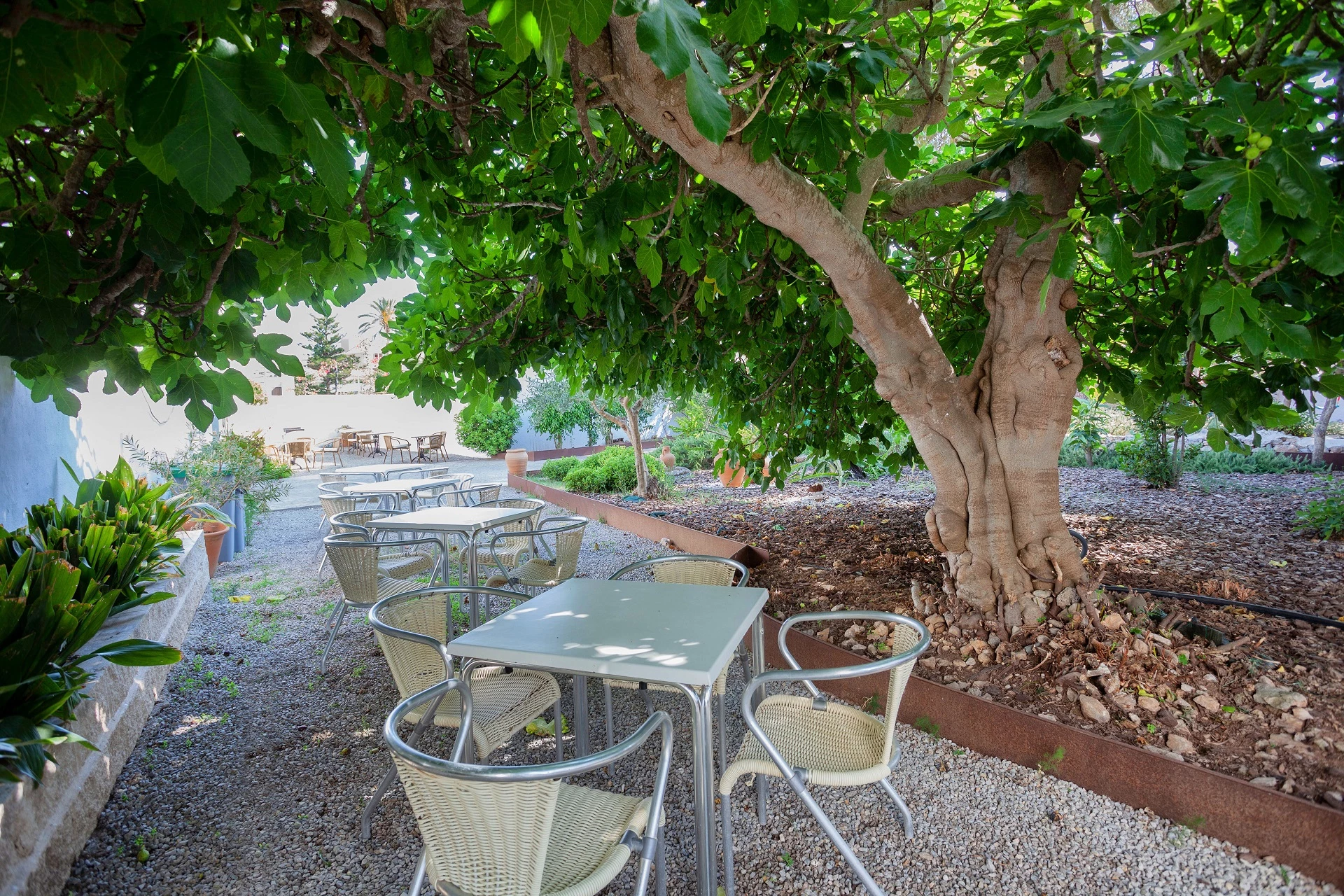 Hotel Petit Garden Hotel by Flacalco i Mallorca, Spain - Billede 9