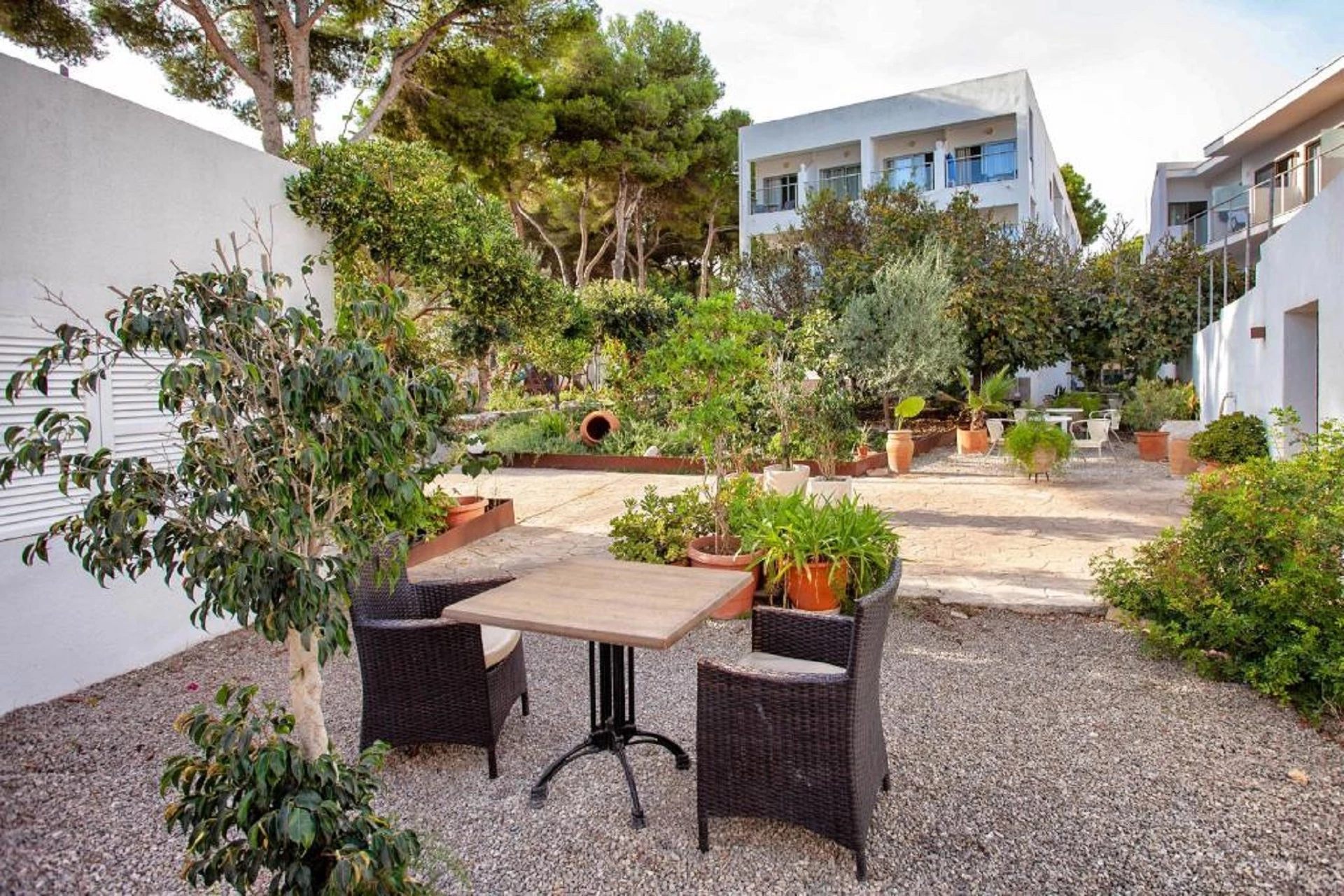 Hotel Petit Garden Hotel by Flacalco i Mallorca, Spain - Billede 11